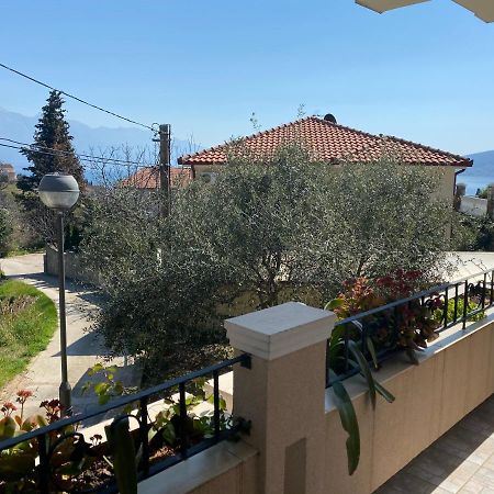 Apartments Sneki Baošići Esterno foto